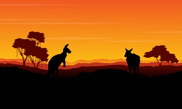 Landscape kangaroo silhouette at the sunset — Stock Vector