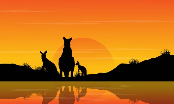 Au coucher du soleil kangourou paysages silhouettes — Image vectorielle