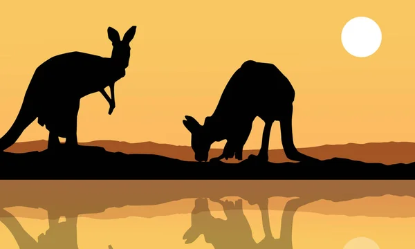 Kangaroo on the lake landscape silhouette — Stock Vector