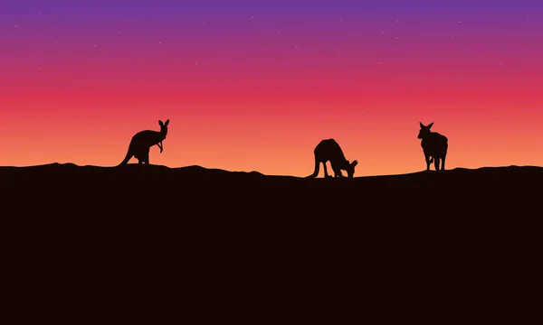 Silhouette Landschaft Känguru mit Schönheit Himmel — Stockvektor