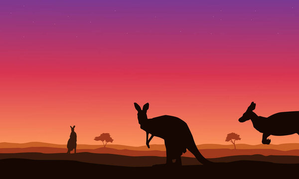 Beauty landscape kangaroo on hill silhouettes