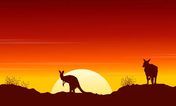 Collectie kangoeroe bij zonsondergang silhouet landschap — Stockvector