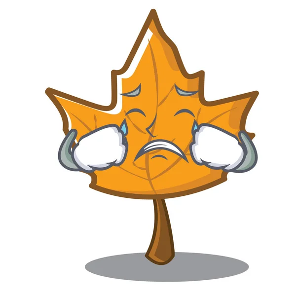Maple cartoon tekenstijl huilen — Stockvector