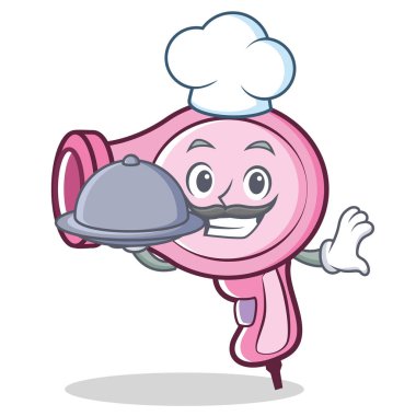 Şef saç kurutma makinesi karakter vektör