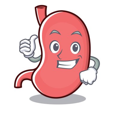 Mide karakter karikatür maskot Yaşasın