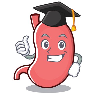 Mezuniyet mide karakter karikatür maskot