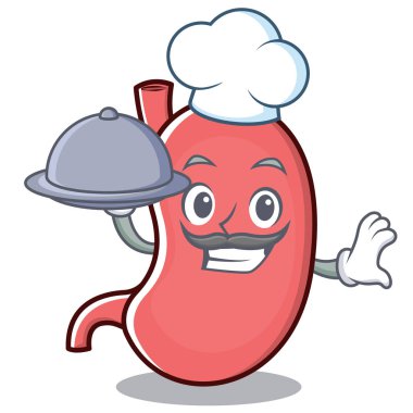 Şef mide karakter karikatür maskot