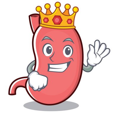 Kral mide karakter karikatür maskot