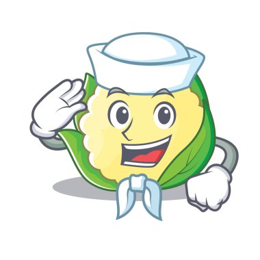 Denizci karnabahar karakter karikatür tarzı