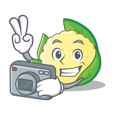 Fotoğrafçı karnabahar karakter karikatür tarzı