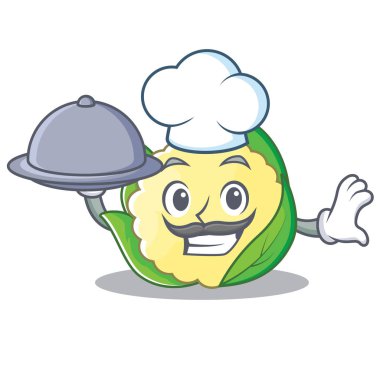 Şef gıda karnabahar karakter karikatür tarzı ile