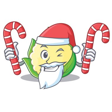 Santa şeker karnabahar karakter karikatür tarzı ile