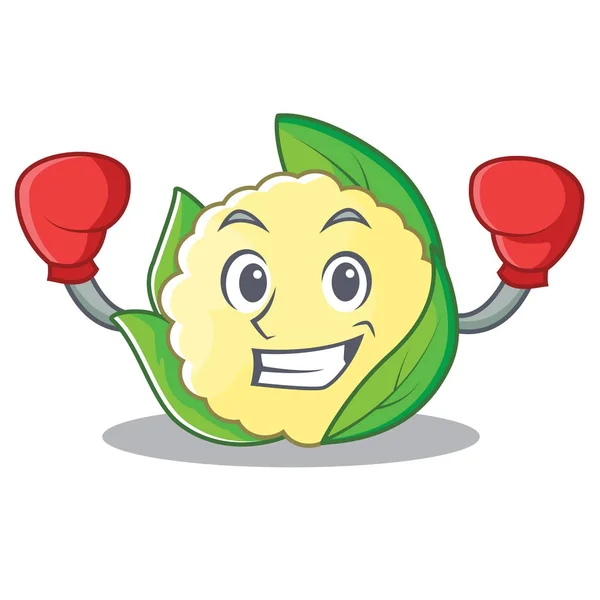 Boxing cauliflower character cartoon style — Stock Vector