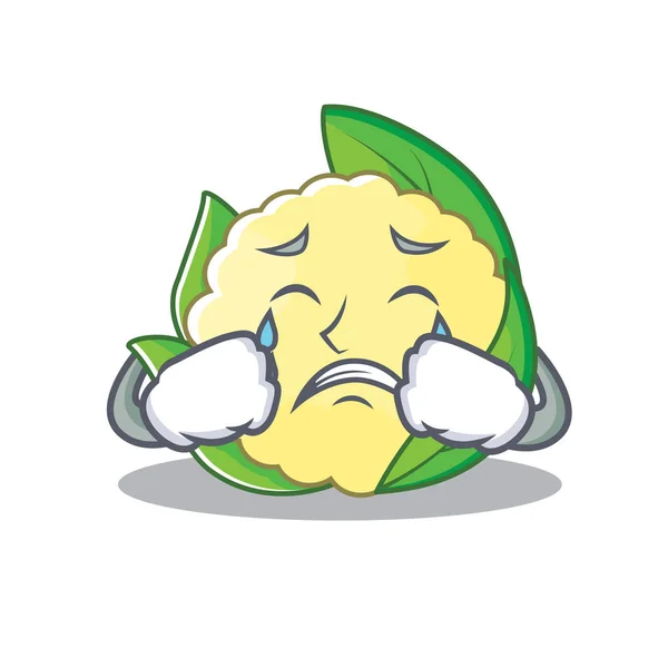 Crying cauliflower character cartoon style — Stock Vector
