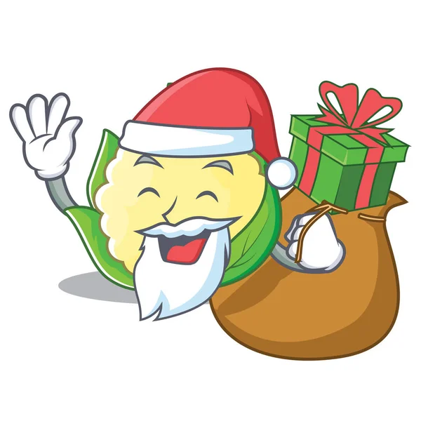 Santa con coliflor regalo carácter estilo de dibujos animados — Vector de stock