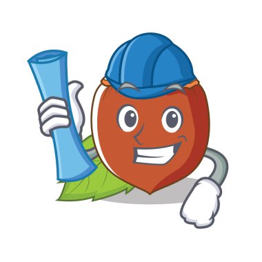 Mimar fındık karakter karikatür tarzı