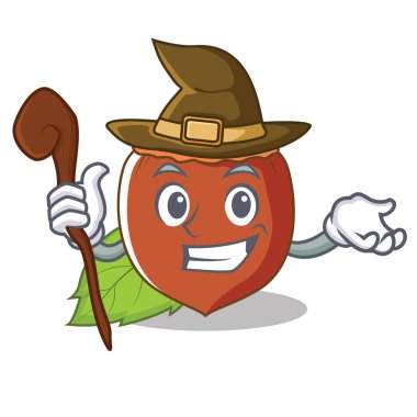 Cadı fındık maskot karikatür tarzı