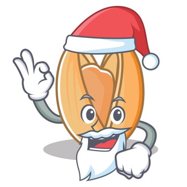 Santa Antep fıstığı maskot çizgi film