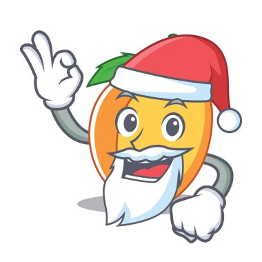 Santa kayısı maskot karikatür tarzı