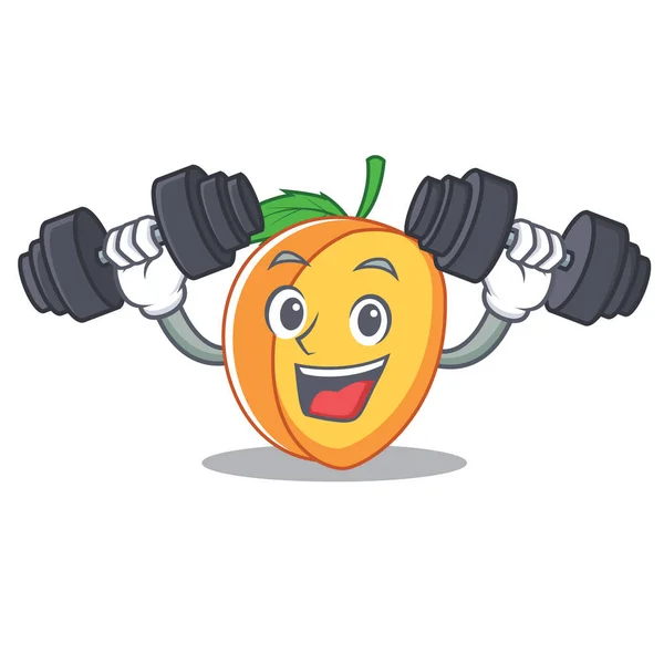 Fitness Aprikose Charakter Cartoon-Stil — Stockvektor