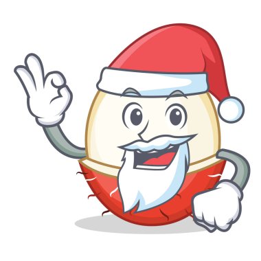 Santa rambutan maskot karikatür tarzı