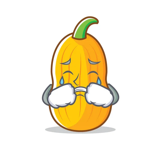 Crying butternut squash mascota de dibujos animados — Archivo Imágenes Vectoriales