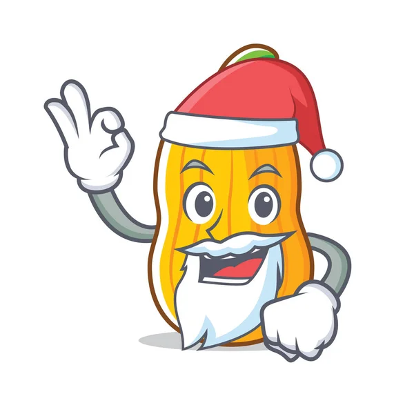 Mascotte de Santa butternut squash dessin animé — Image vectorielle