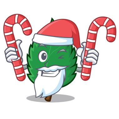 Maskot karikatür Santa ile şeker nane yaprakları