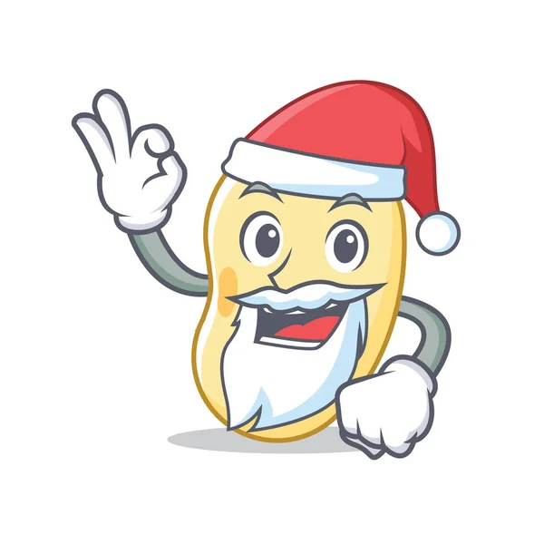Santa sójové boby maskot kreslený — Stockový vektor