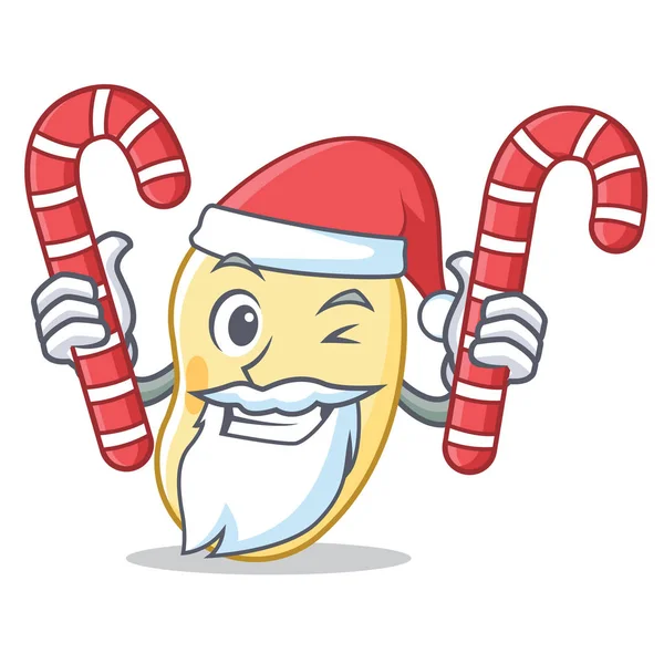 Santa con caramelo de soja mascota de dibujos animados — Vector de stock