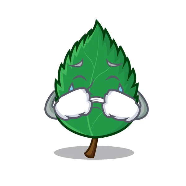 Llorando menta hojas mascota dibujos animados — Archivo Imágenes Vectoriales
