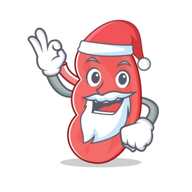 Santa böbrek maskot karikatür tarzı