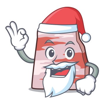 Santa domuz domuz yağı maskot çizgi film