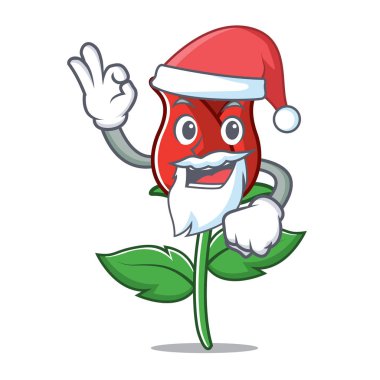 Noel Baba kırmızı gül maskot çizgi film