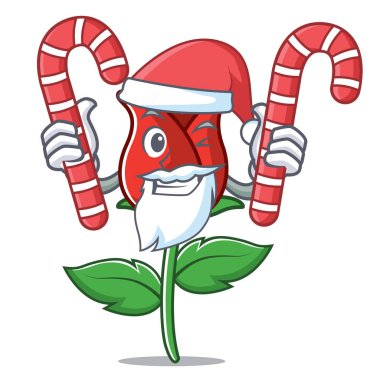 Santa şeker kırmızı gül maskot karikatür ile