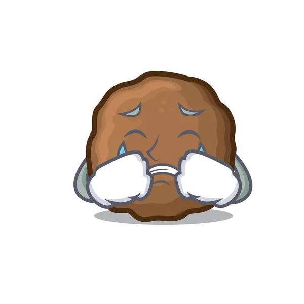 Crying meatball mascot cartoon style — Stock Vector
