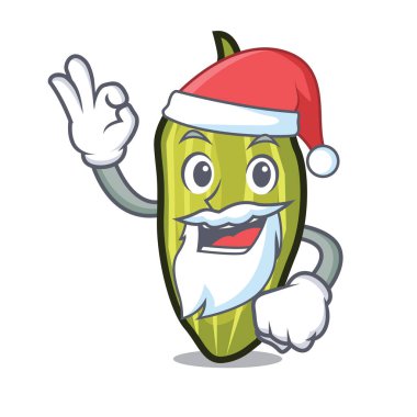 Santa kakule maskot karikatür tarzı