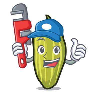 Tesisatçı kakule maskot karikatür tarzı