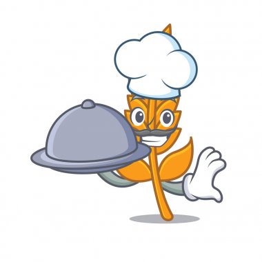 Şef yiyecek buğday maskot karikatür tarzı ile