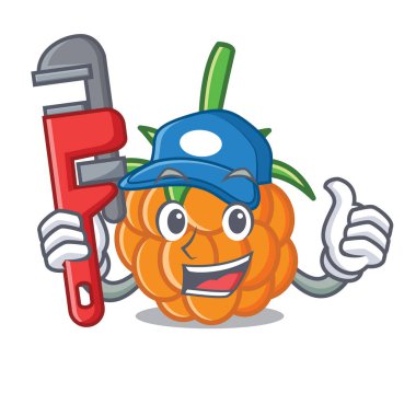 Tesisatçı cloudberry maskot karikatür tarzı vektör çizim