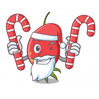 Santa şeker kuşburnu maskot karikatür tarzı vektör çizim ile