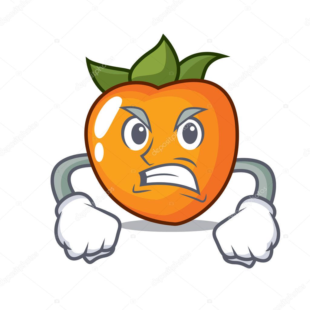 Angry persimmon mascot cartoon style vector illustration