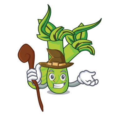 Cadı wasabi maskot karikatür tarzı vektör çizim