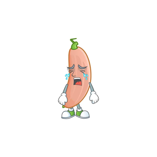 悲伤哭泣的姿势香蕉南瓜卡通人物风格 — 图库矢量图片
