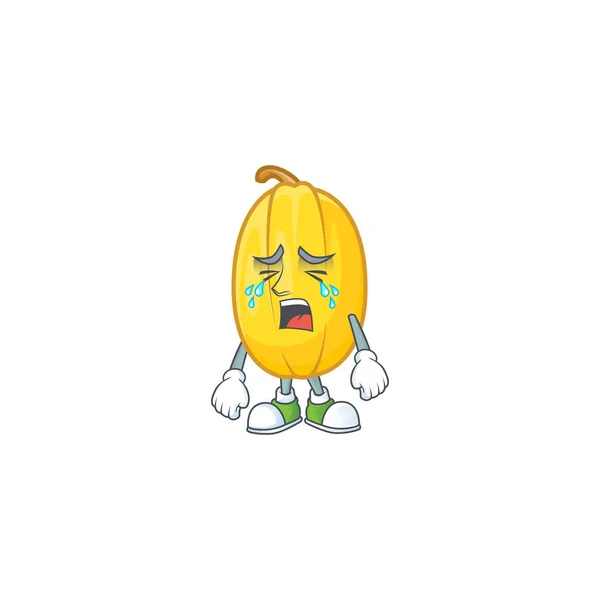 Sad Crying gesture spaghetti squash cartoon character style — Stock Vector