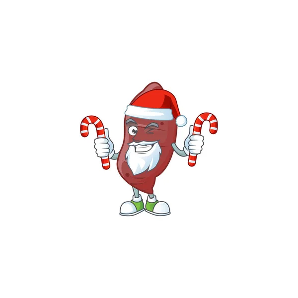 Sweet potatoes Cartoon character in Santa Claus with candy — ストックベクタ