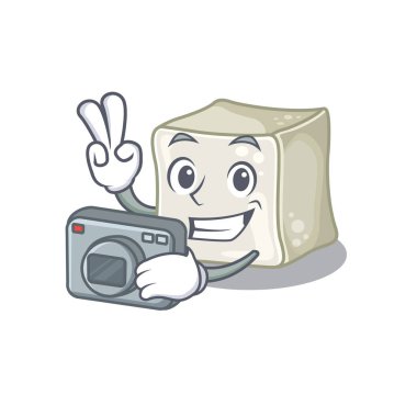 Cool Photographer sugar cube character with a camera