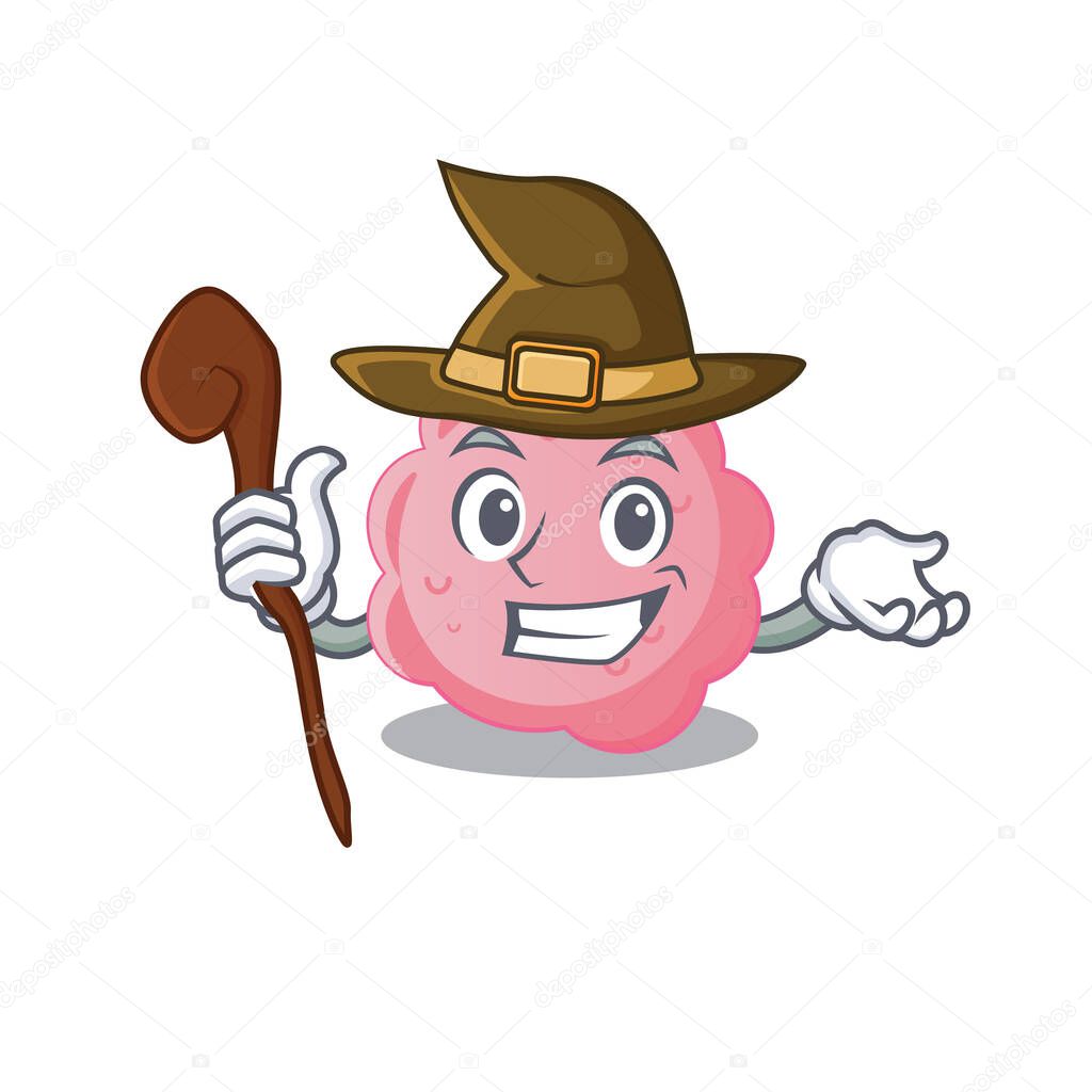 anaplasma phagocytophilum sneaky and tricky witch cartoon character. Vector illustration