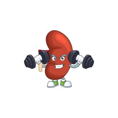 Fitness egzersizi, insan böbreği çizgi film karakteri, halterleri kullanarak. Vektör illüstrasyonu