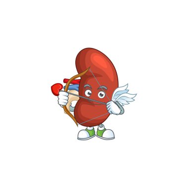 Sağ insan böbreğinin çekici bir resmi. Aşk tanrısı maskot tasarımı, ok ve kanatlı. Vektör illüstrasyonu